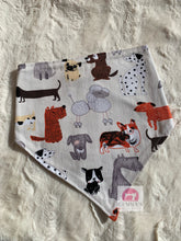 Load image into Gallery viewer, Mix Medium Pet Bandanna