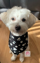 Load image into Gallery viewer, Paw Print Small Pet Bandanna
